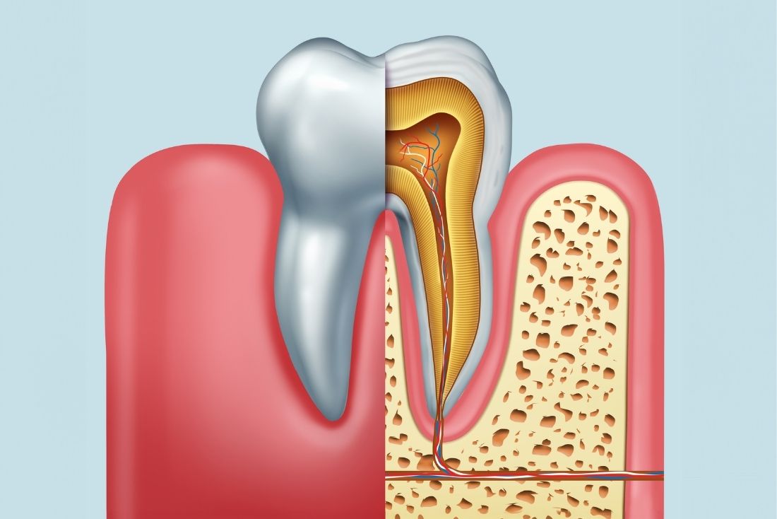 Dentist Evans GA